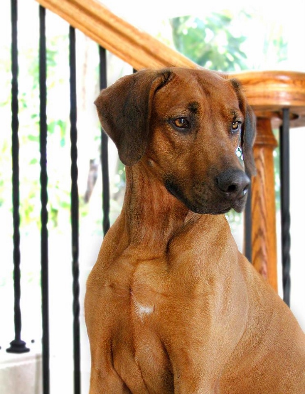 1001852 10151559821467897 1524304850 n(620x800) copy