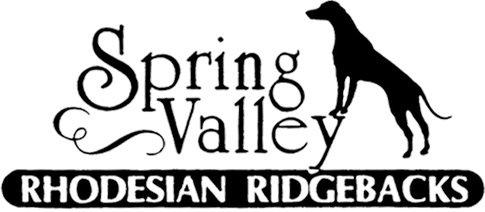 Spring Valley Rhodesian Ridgebacks
